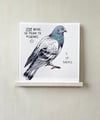 Tauben sind toll - (20x20cm) FineArt Print 