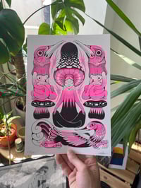 Image 1 of Shroom Meditation