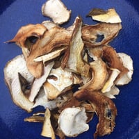 Image 5 of Porcini (Boletus Edulis)