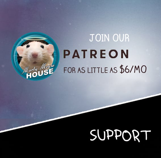 Image of Monthly Support for Marty Mouse House 