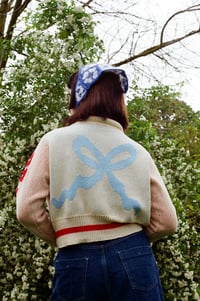 Image 3 of HOWDY PARTNER JUMPER 