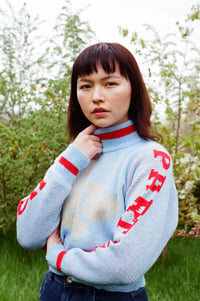 Image 4 of HOWDY PARTNER JUMPER 
