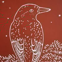 Image 2 of Starling
