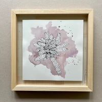 Image 3 of Original Painting - "Jardin de succulentes" - 30x30 cm