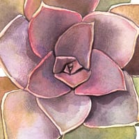 Image 5 of Original Painting - "Echeveria numéro 7" - 30x30 cm