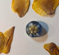pocket coin 2