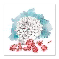 Image 1 of Original Painting - "Echeveria en bleu et rouge" - 30x30 cm