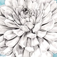 Image 2 of Original Painting - "Echeveria en bleu et rouge" - 30x30 cm
