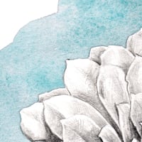 Image 3 of Original Painting - "Echeveria en bleu et rouge" - 30x30 cm