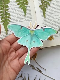 Image 1 of Luna Moth Sticker