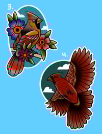 Bird Flash 3-4