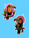 Bird Flash 5-6