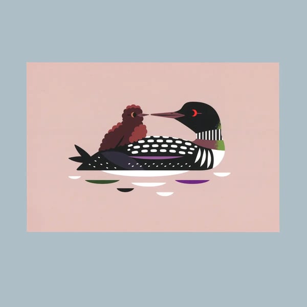 Image of Lovely Loons Postcard Print