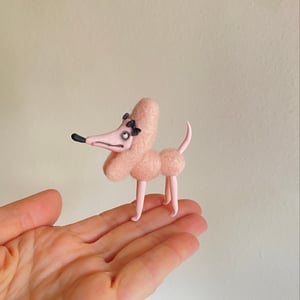 Image of Tiniest Toy Poodle in Powderpuff Pink #3