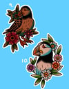 Bird Flash 9-10