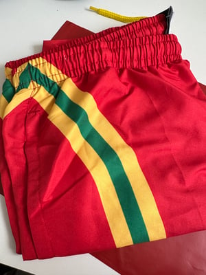 Image of SO58 ‘Home’  Swim Shorts Red 
