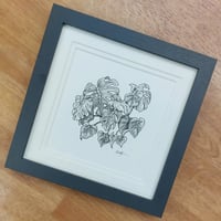 Monstera (original framed drawing)