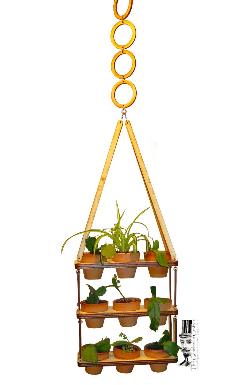 Image of Hanging 2-inch Pot Plant Starter Kit