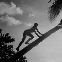 Image 1 of JEAN PIERROT - Nature Of Things - ULTRA RARE