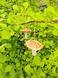 Image 1 of Panther Amanita Earrings