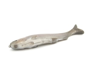 Image of Tyrant 10 ( INFORMANT )