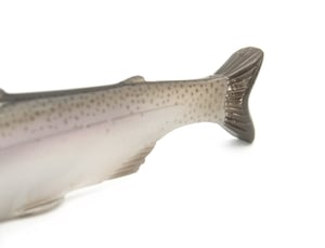 Image of Tyrant 10 ( CONSPIRATOR )