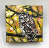 Perched in the Glow – Barred Owl bird painting