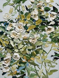 Image 1 of WILD CLIMBING ROSE - GICLÉE PRINT