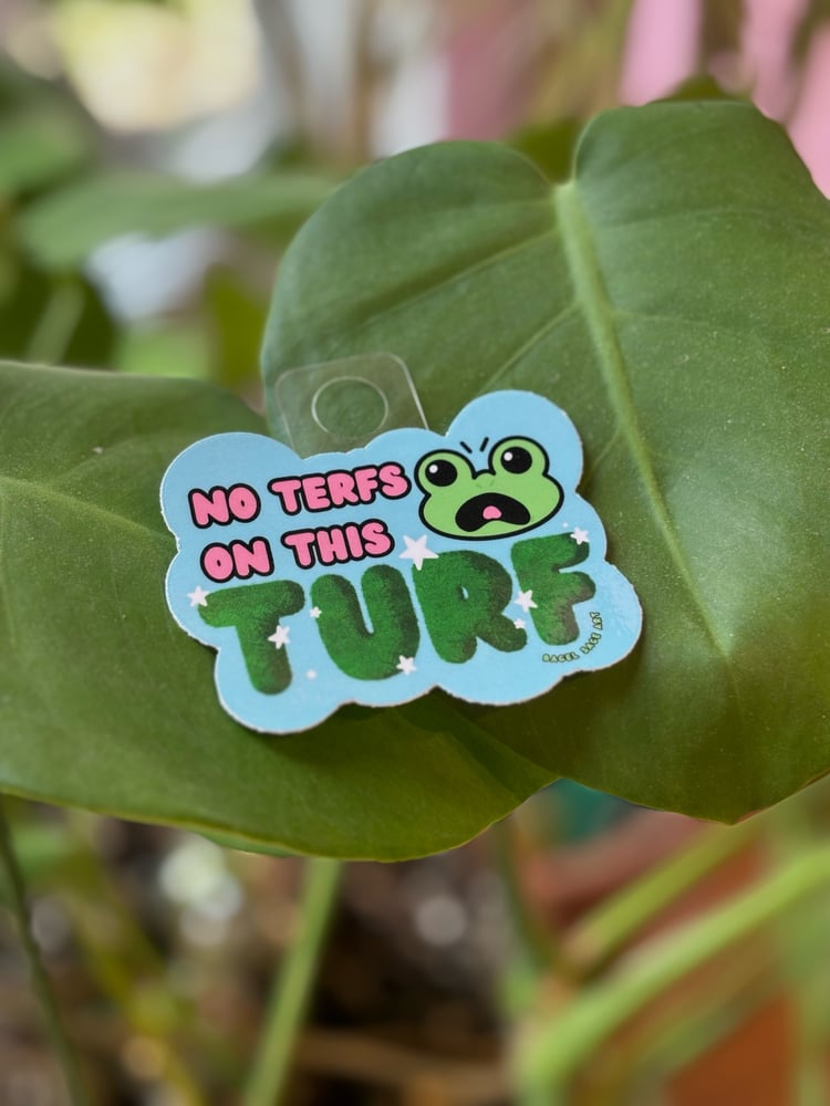 Image of No TERFs on This Turf Frog Sticker