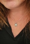 Scottish limpet shell pendant necklace