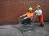 Frog and Toad Hauling Hard Hat