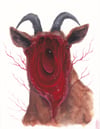 Print pack (4x5, 8x10 inches) 'goats' four print set