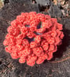 Orange and Lilac Flower Pot Coaster Set