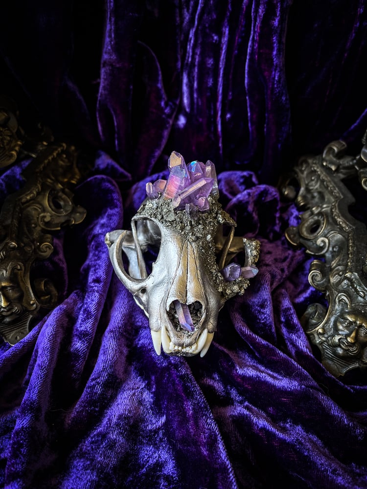 Image of Lavender Aura Quartz - Bobcat Skull 