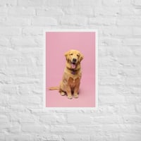 Image 4 of Framed Poster