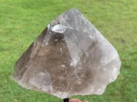Image 14 of Smoky Quartz With Rainbows On Display Stand Statement Piece #1456