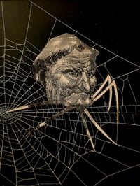 Image 4 of 1800s Gustave Dore Spiders - with real preserved webs -C