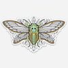 Skull Cicada Sticker