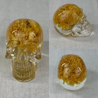 Image 5 of Flora Memento Mori 