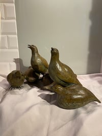 Image 1 of Caroline Wallace Covey of Grey Partridge 