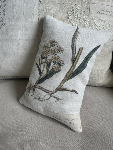 Image of Lavender pillow- live simply bloom wildly 