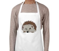 Image 5 of Hedgehogs