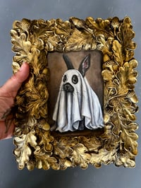 Image 4 of Liebre fantasma 
