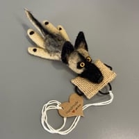 Image 3 of Grey German Shepherd