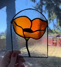 Image 2 of Poppy for Alison