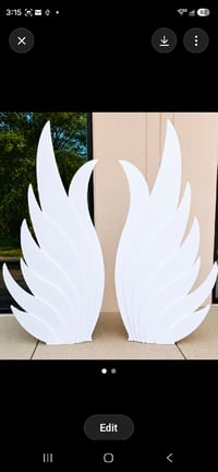 Image 3 of Angel Wing Backdrop Setup