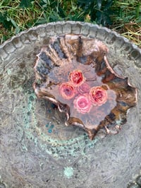 Image 3 of 🦪🌸Oyster Shell flower Bowl🌺🦪