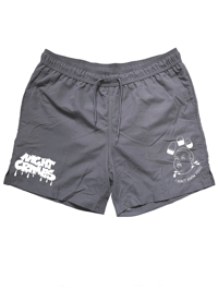 Image 9 of Swim Shorts. Gray. 13 Designs.