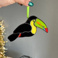 Image 4 of Keel Billed Toucans