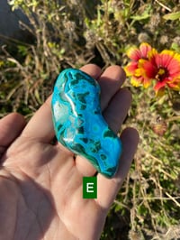 Image 5 of Malachite and Chrysocolla 